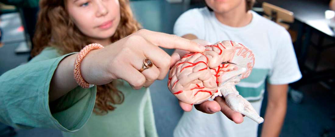 Hvad er sundhedsfag?