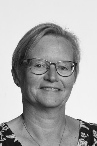 Ulla Lundgaard - Historie, Samfundsfag.